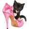 Kaz_Creations Cat-In-Shoe