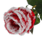 winter rosen milla1959 - ilmainen png animoitu GIF