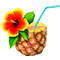 Pineapple.Cocktail.Yellow.Red - PNG gratuit GIF animé
