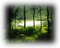 bosque - zadarmo png animovaný GIF