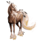 American Indian horse bp - ilmainen png animoitu GIF