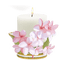 Plumeria Candle - png gratis GIF animasi