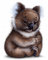 Y.A.M._Animals koala - 免费PNG 动画 GIF