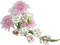 Fleurs - безплатен png анимиран GIF