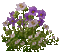 animated purple flowers - GIF animado gratis GIF animado
