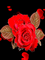 Flores - Darmowy animowany GIF animowany gif