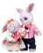 ani-kanin-kaniner-djur - безплатен png анимиран GIF