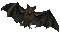 Bat.Black.Animated - KittyKatLuv65 - GIF animé gratuit GIF animé