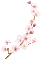 flowers - Nemokamas animacinis gif animuotas GIF