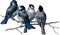 Птицы.Акварель - zdarma png animovaný GIF