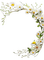 Daisies.Marguerites.Frame.Victoriabea - PNG gratuit GIF animé