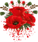 Kaz_Creations Deco Flowers Flower Colours - ücretsiz png animasyonlu GIF