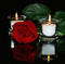 ROSE CANDLES ANIMATED BG - Darmowy animowany GIF animowany gif