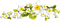 soave deco branch flowers  spring green white - png gratis GIF animado