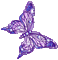 EnderQueen Sparkly Butterfly