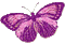 dulcineia8 borboletas - Ücretsiz animasyonlu GIF animasyonlu GIF