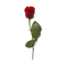 red rose - zadarmo png animovaný GIF