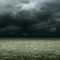 Stormy Grassy Field Background - gratis png geanimeerde GIF