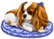 Dog Chien Puppy Cocker Spaniel - png gratuito GIF animata