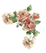 fleur Pelageya  rose - kostenlos png Animiertes GIF