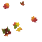 fall autumn leaf leaves feuille - GIF animate gratis GIF animata