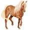 horse -Nitsa P 2 - bezmaksas png animēts GIF