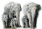 Kaz_Creations Elephants Elephant - png gratis GIF animado
