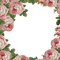 loly33 frame fleur rose - gratis png animerad GIF
