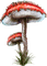 champignon - zadarmo png animovaný GIF