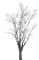 Árbol en invierno - ücretsiz png animasyonlu GIF