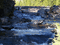 пейзажгуля водагг - Gratis geanimeerde GIF geanimeerde GIF
