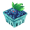 Oddish & Blueberries - png gratis GIF animado