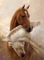 amour de chevaux - besplatni png animirani GIF
