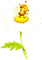Bee daisy - безплатен png анимиран GIF