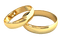 Kaz_Creations Deco Wedding Rings - PNG gratuit GIF animé