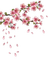 flowers blossom - png grátis Gif Animado