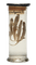 specimen 9 - Free animated GIF