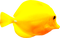 Fish.Yellow - nemokama png animuotas GIF
