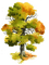 drzewo/akwarela - ilmainen png animoitu GIF