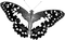 black butterfly Bb2 - kostenlos png Animiertes GIF