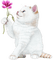 soave cat animals deco flowers white pink - png gratuito GIF animata
