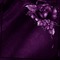 bg-frames-flower-Purple - gratis png geanimeerde GIF