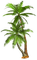 tree baum bush busch palm palme - png gratis GIF animado
