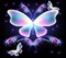 Butterfly - nemokama png animuotas GIF