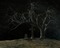 maisema, landscape - zdarma png animovaný GIF