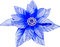Christmas.Flower.Blue - PNG gratuit GIF animé