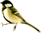 birds katrin - gratis png geanimeerde GIF