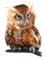 Owls - ilmainen png animoitu GIF