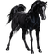 horse - zadarmo png animovaný GIF