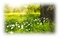 landscape, spring - png gratis GIF animasi
